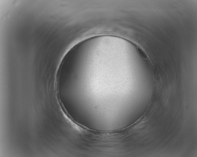 X0000062601527200601040900