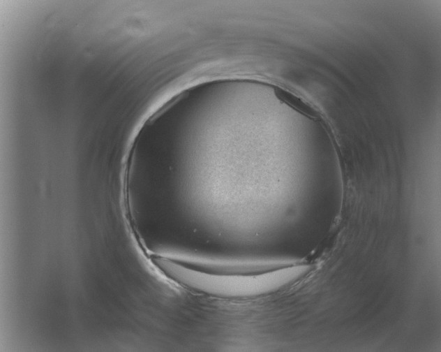 X0000062601528200601040900