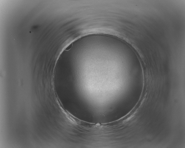 X0000062601529200601040900