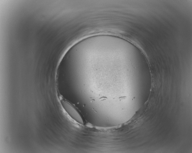 X0000062601532200601040900