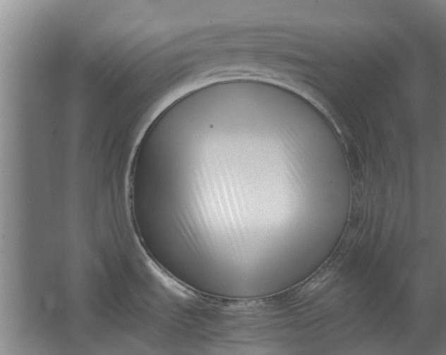 X0000062601535200601040900