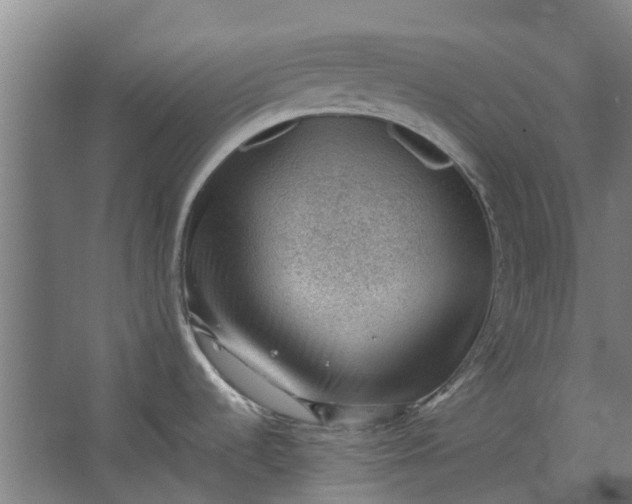 X0000062601536200601040900