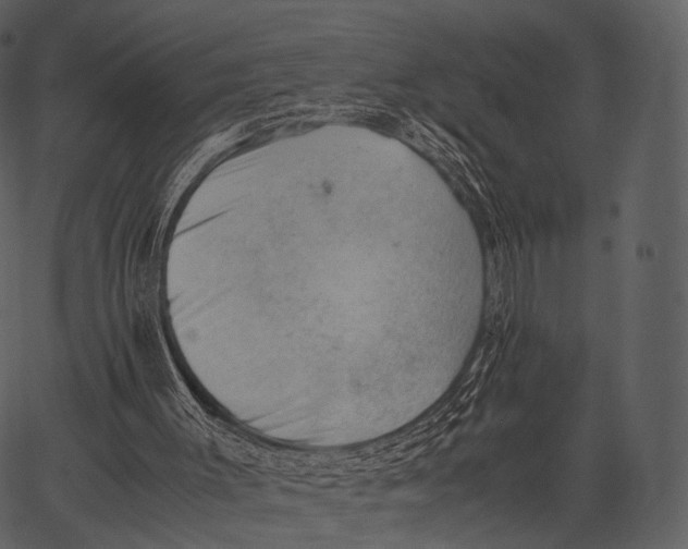 X0000062600003200601110955