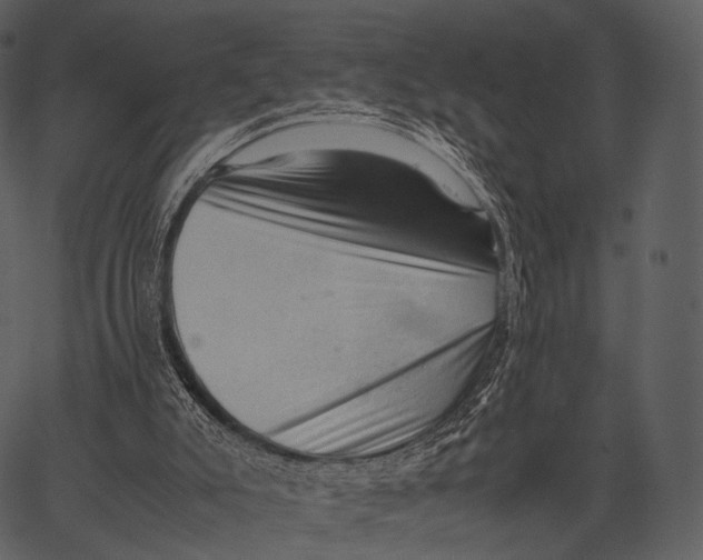 X0000062600007200601110954