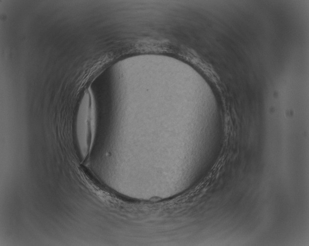 X0000062600009200601110954