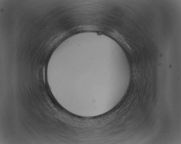X0000062600014200601110954