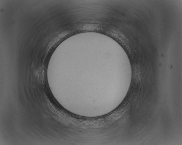 X0000062600016200601110954