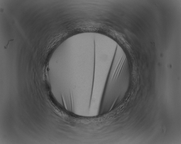 X0000062600017200601110954