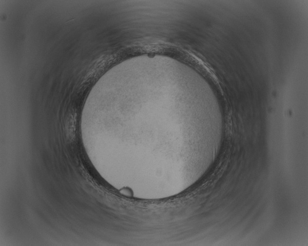 X0000062600018200601110954