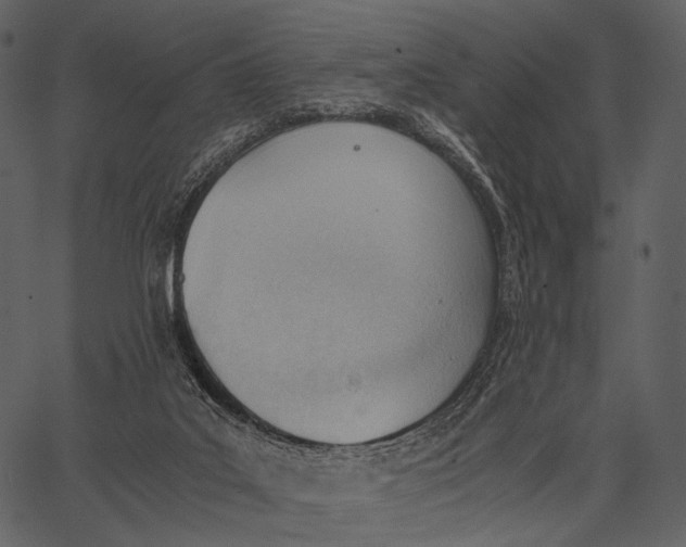 X0000062600019200601110954