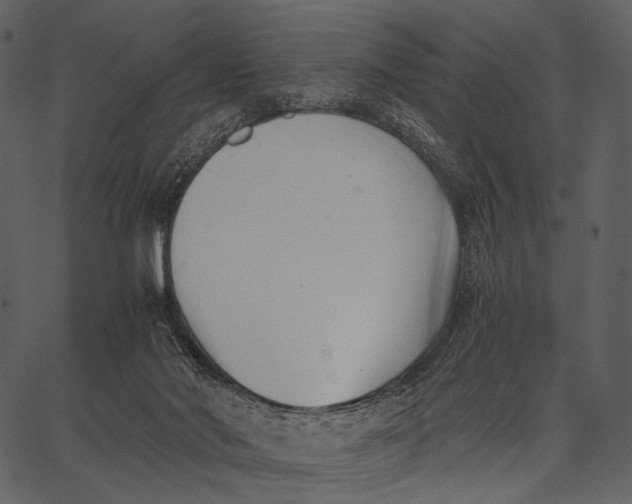 X0000062600022200601110954