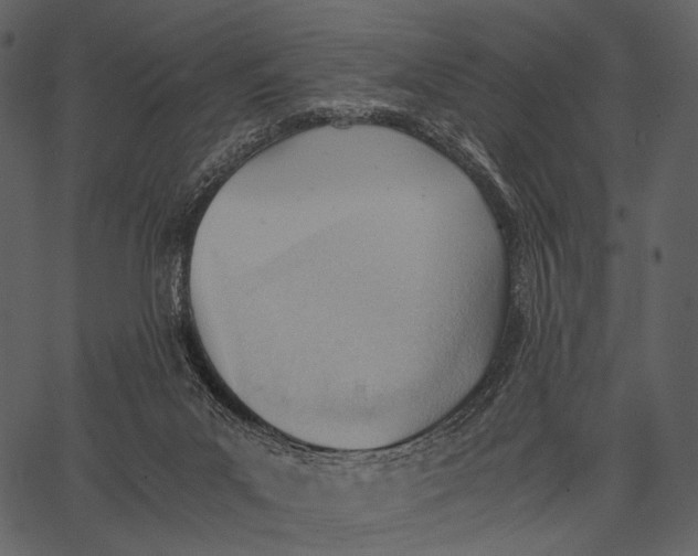 X0000062600023200601110954