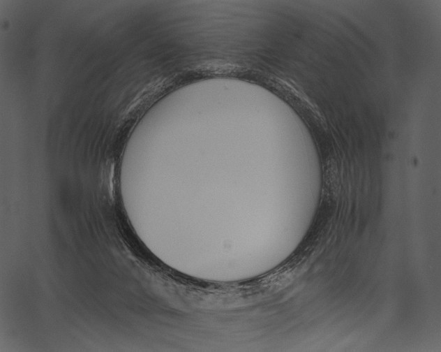 X0000062600024200601110954