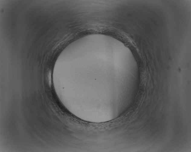 X0000062600027200601110954