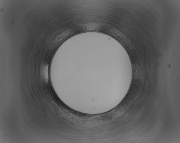 X0000062600028200601110954