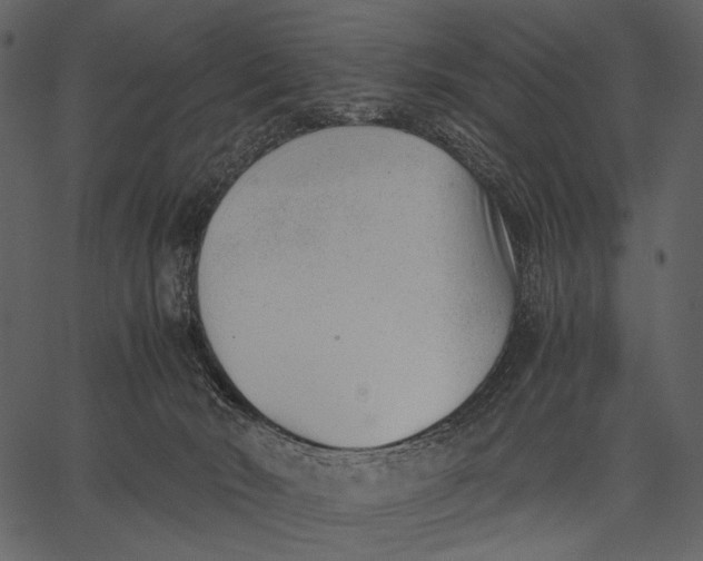 X0000062600030200601110954