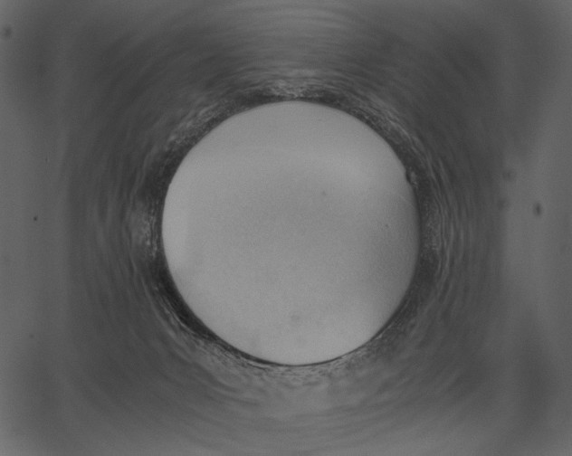 X0000062600031200601110954