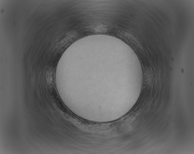 X0000062600032200601110954