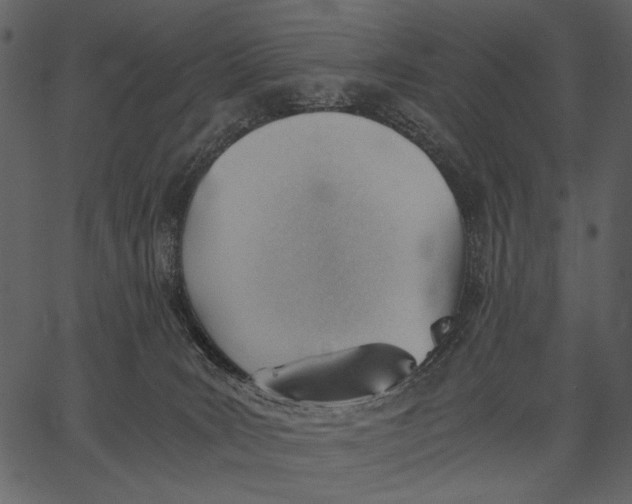 X0000062600035200601110954