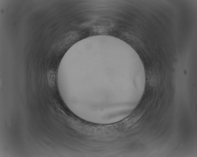 X0000062600036200601110954
