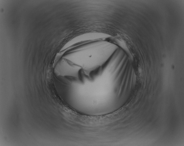 X0000062600037200601110954