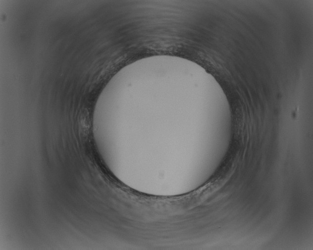 X0000062600040200601110954