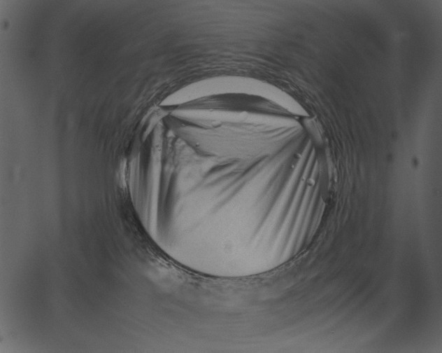 X0000062600041200601110954