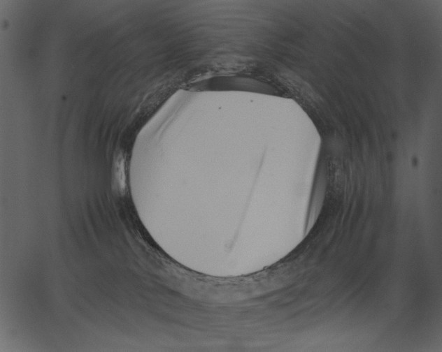 X0000062600042200601110954