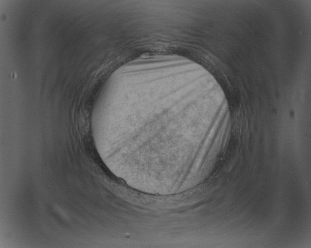 X0000062600043200601110954