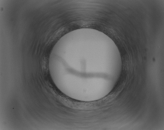 X0000062600044200601110954