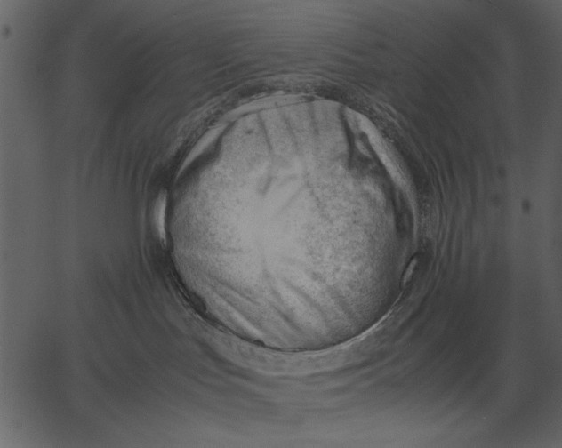 X0000062600047200601110954