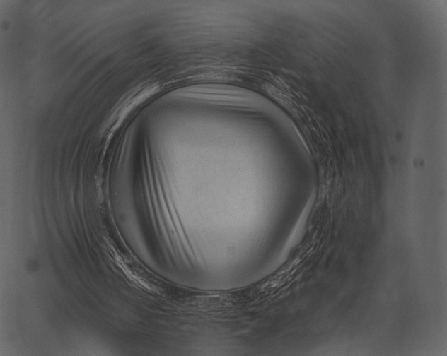 X0000062600050200601110953