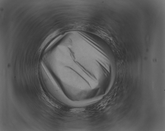 X0000062600051200601110953