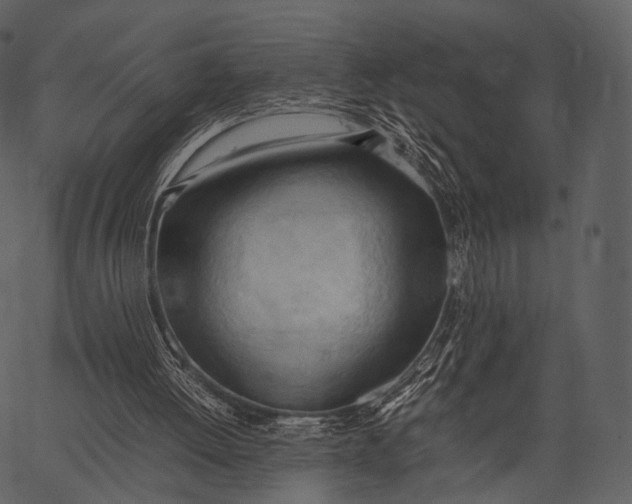 X0000062600052200601110953