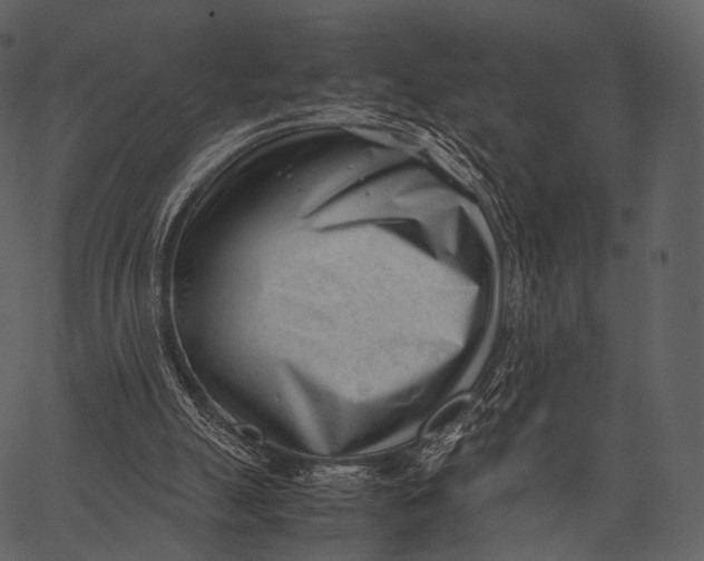 X0000062600055200601110953