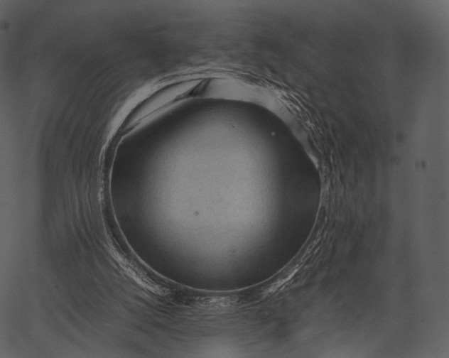 X0000062600056200601110953