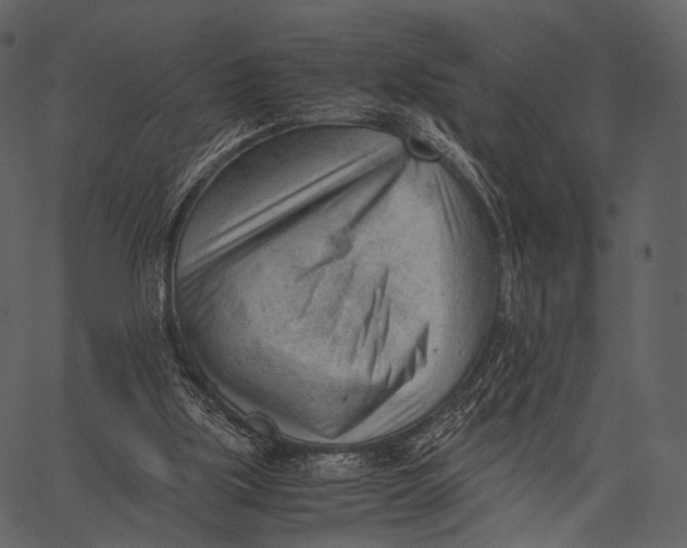 X0000062600059200601110953
