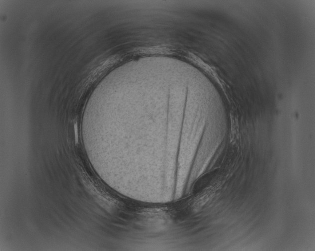 X0000062600061200601110953