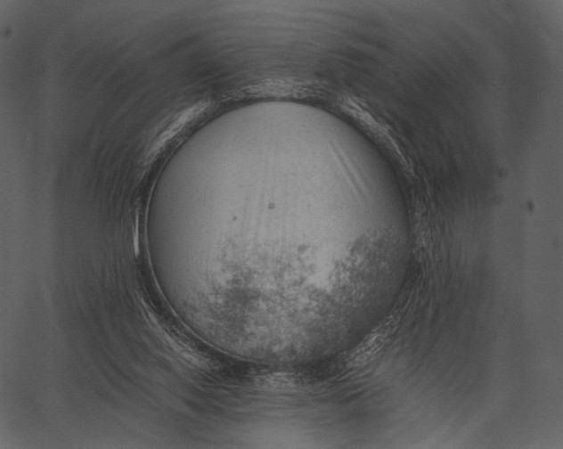 X0000062600062200601110953