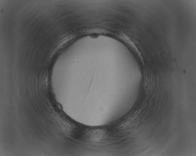 X0000062600063200601110953