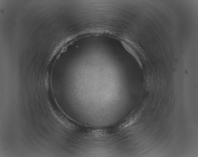 X0000062600064200601110953