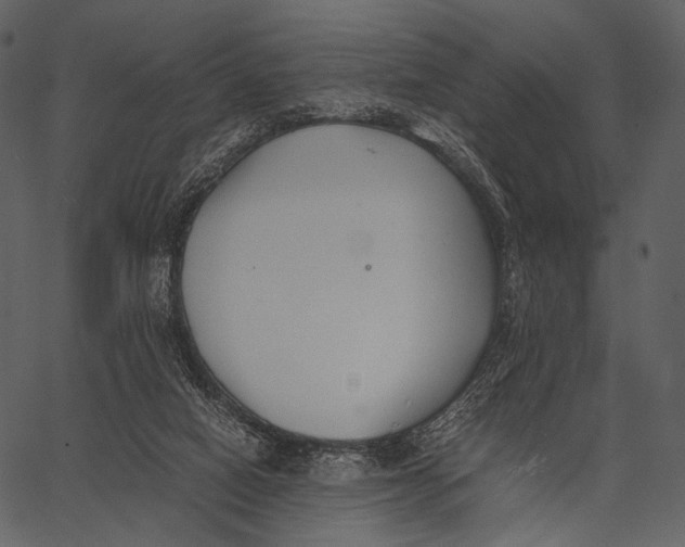 X0000062600066200601110953