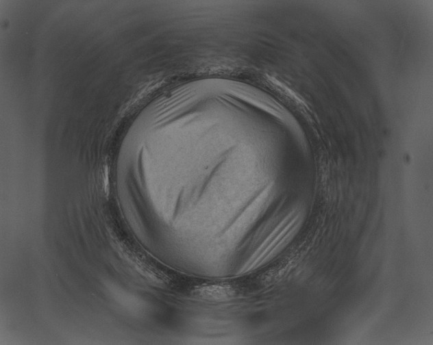 X0000062600067200601110953