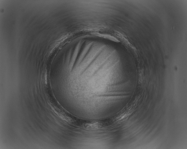 X0000062600068200601110953