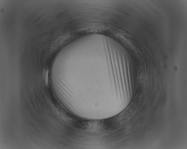 X0000062600070200601110953