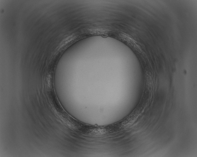 X0000062600071200601110953