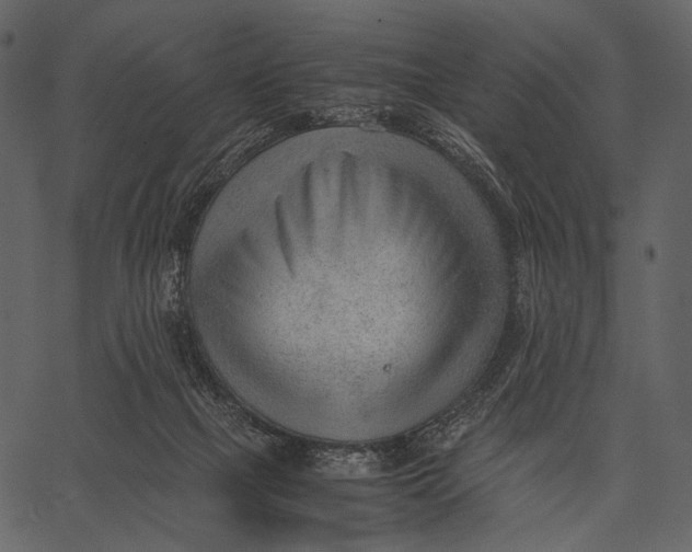 X0000062600073200601110953