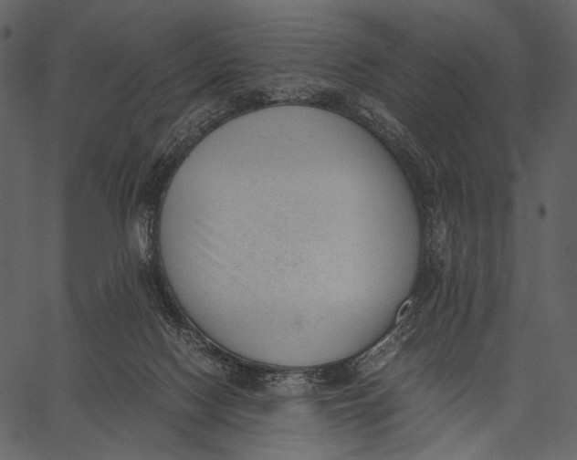 X0000062600074200601110953