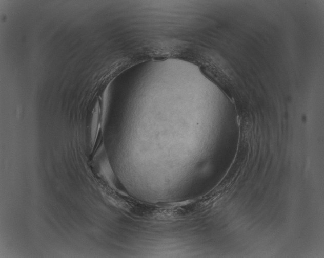 X0000062600076200601110953