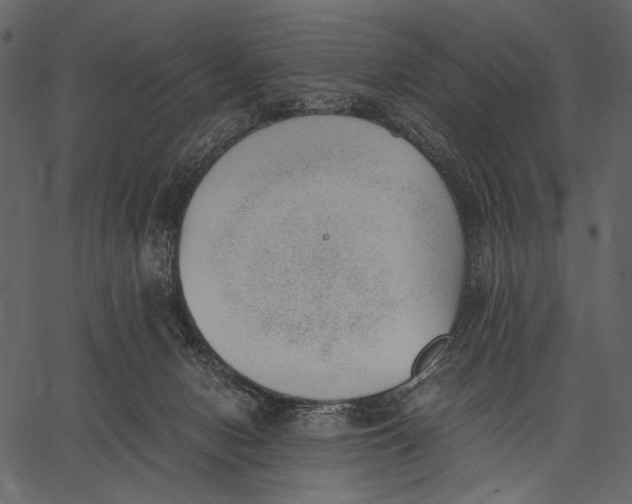 X0000062600078200601110953